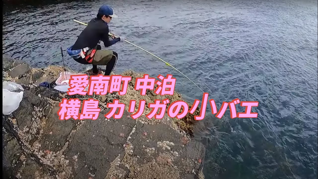 見える巨魚を追いつめろ！磯際ガチンコ勝負 ！！