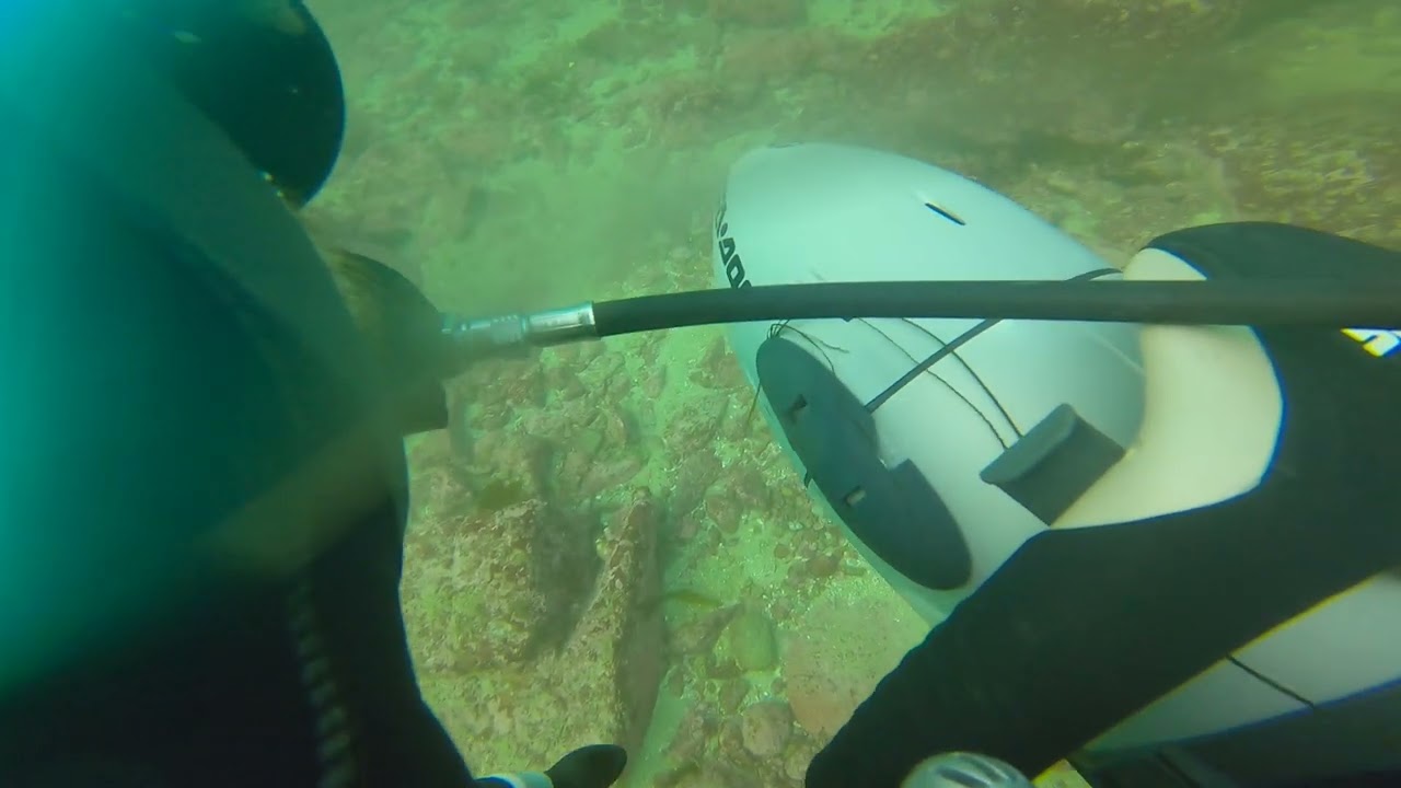 Scuba Diving Monterey Bay Otter Cove September 2024