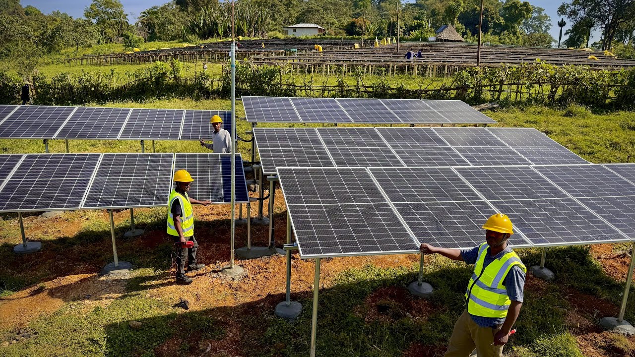 🌍 GLOBAL SUSTAINABILITY PROJECT — Tatmara Farm, Kaffa