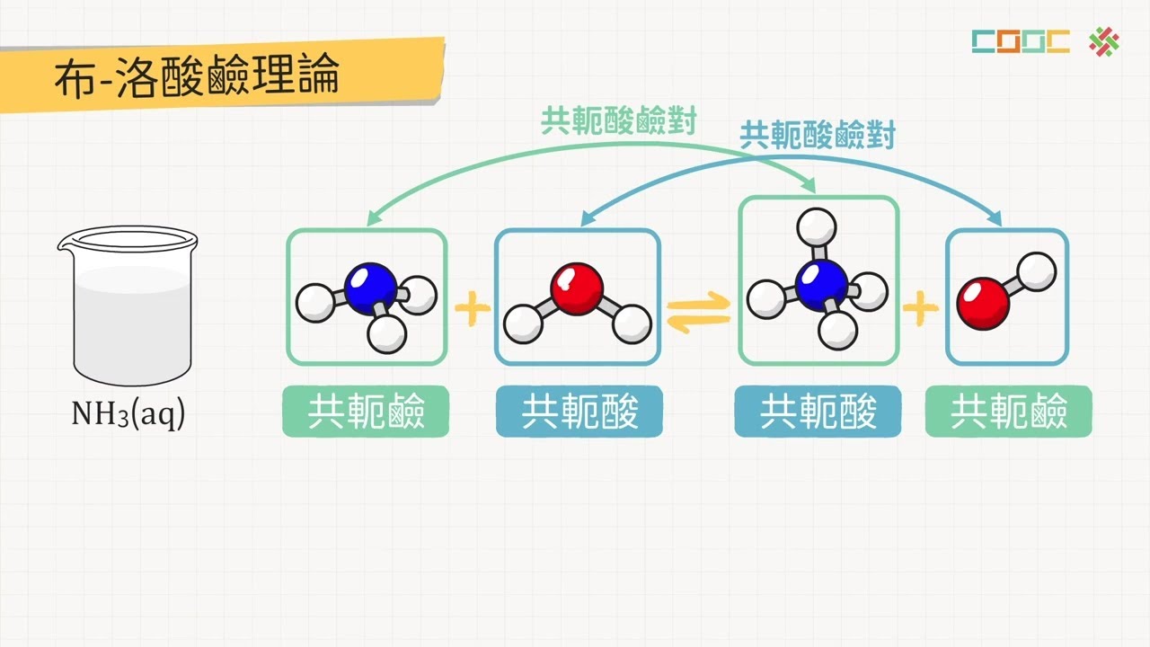 108新課綱｜高三化學｜【觀念】布忍斯特－洛瑞酸鹼理論