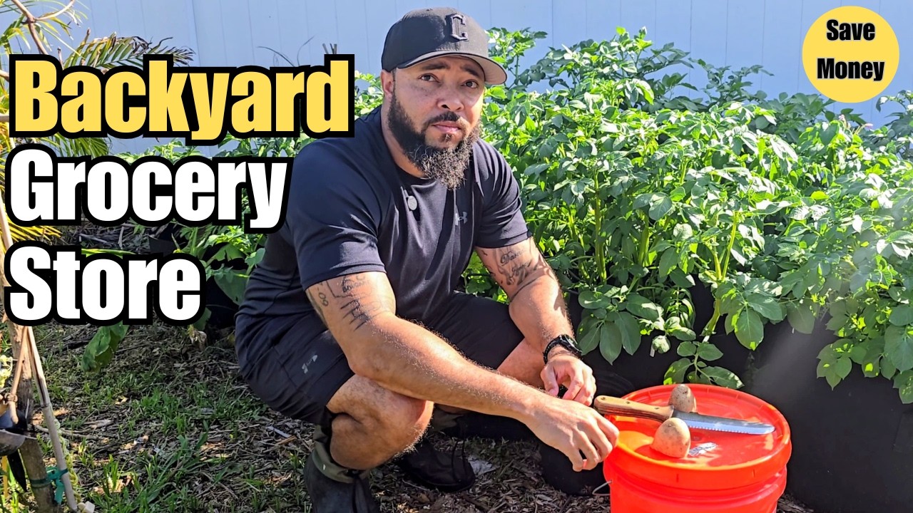 10 растений, которые окупают себя каждый год