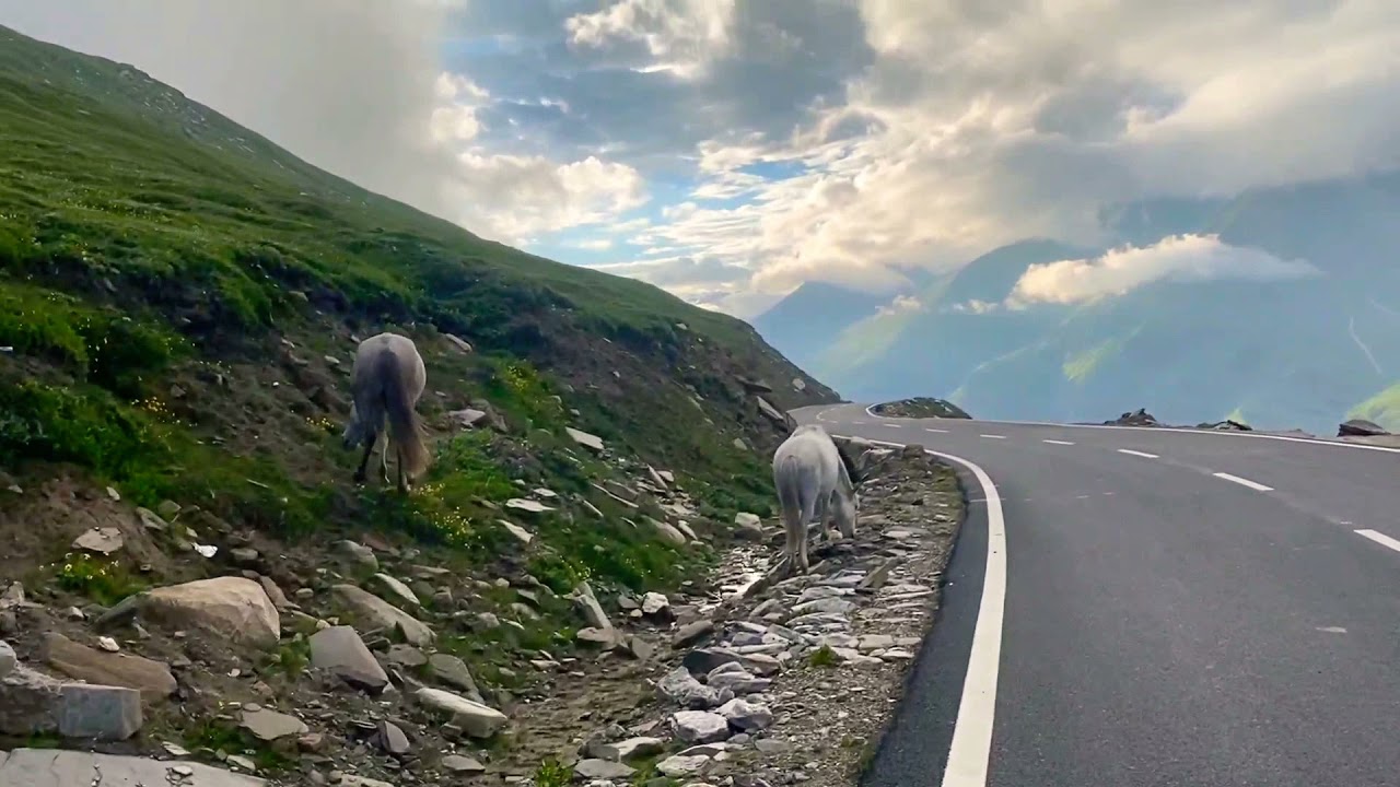 Manali trip by Road | manali trip #rohtang_pass #solang_valley #manaliroadtrip