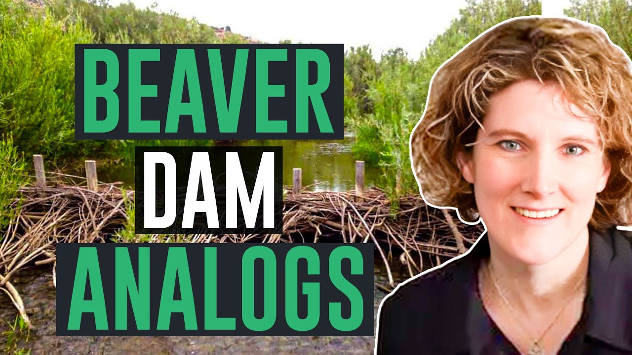 Restoring River Resilience with Beaver Dam Analogs