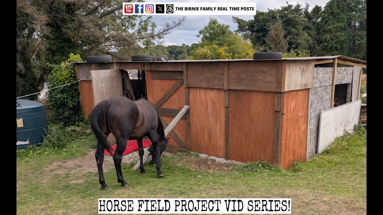 Stable Storm Damage Repair And A Push Toward The Finish | Horse Field Project #20 - BF DIY DAD Ep57