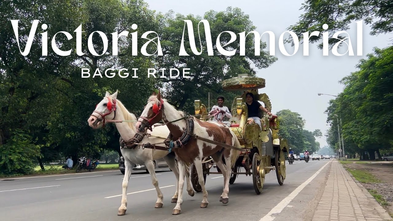 Victoria Memorial ke Saamne Ghode 🐴 wali Buggy ka Safar ✨ 