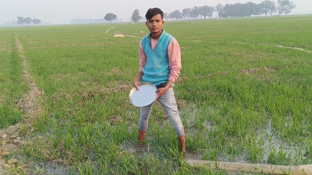 गेहूं के खेत में पानी चला कर कंप्लीट हो गया 😱