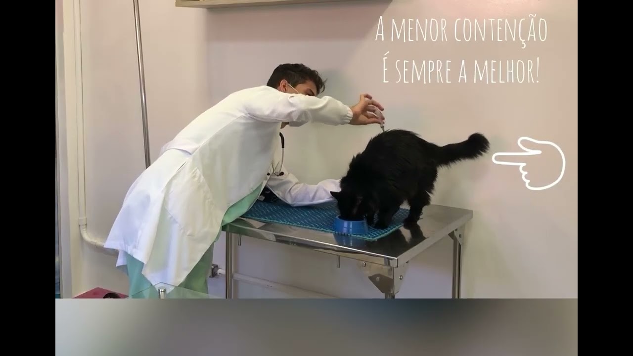 CONDUTAS CAT FRIENDLY EM AMBIENTE HOSPITALAR – DA RECEPÇÃO À INTERNAÇÃO