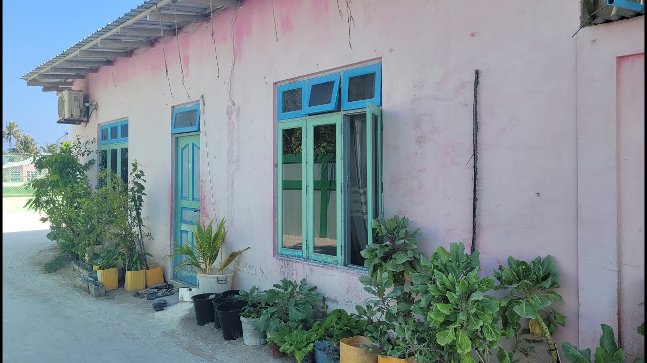 Maldív-szigetek 3. rész: Maafushi - A helyiek lakta sziget