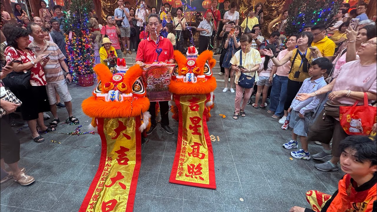 新加坡勁安龍獅體育協會 Singapore Jin Ann Dragon & Lion Dance Cai Qing Performance at 韮菜芭城隍廟 22 Feb 2026
