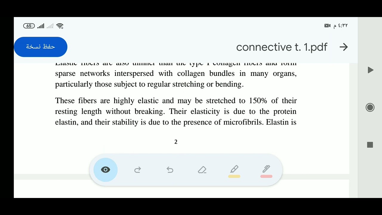 connective tissue