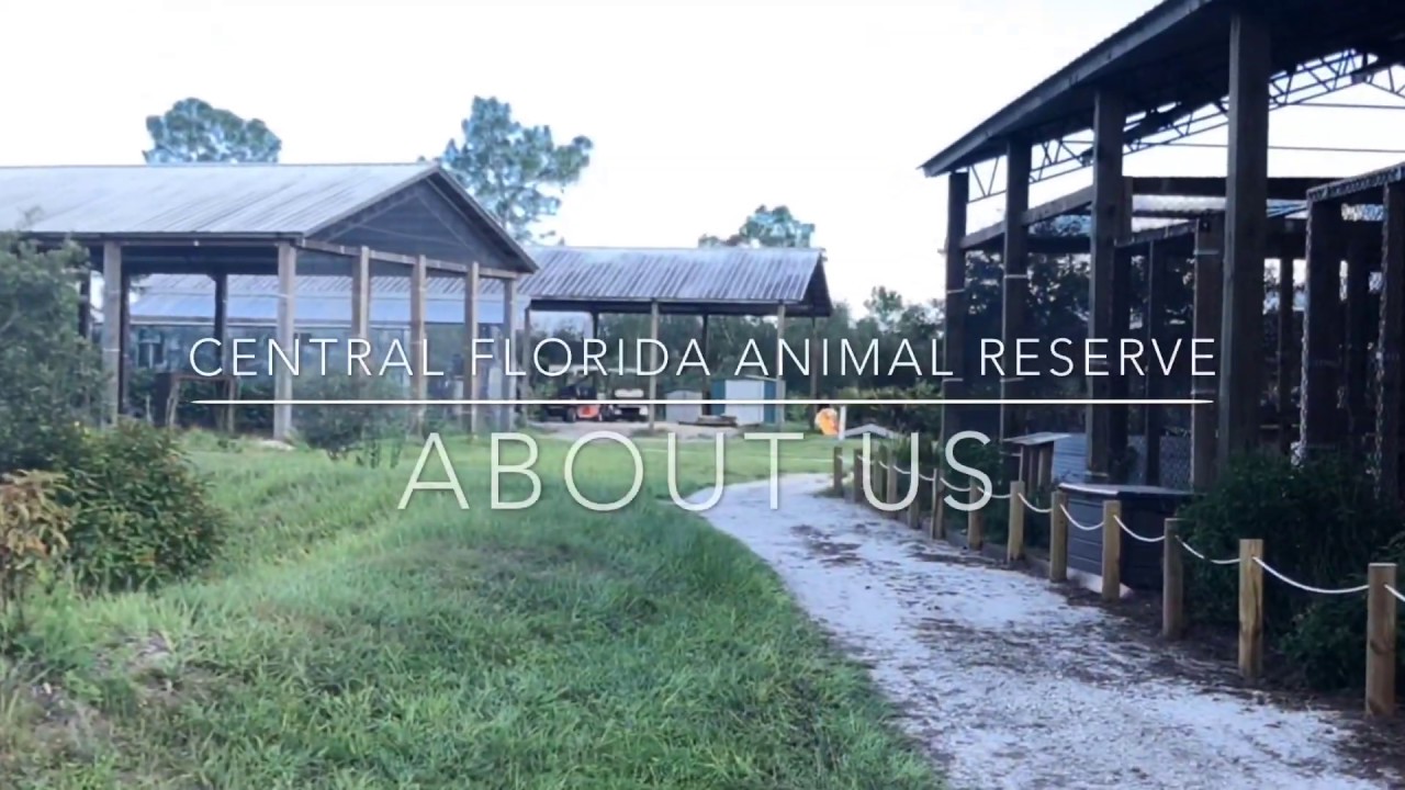 Central Florida Animal Reserve - About us