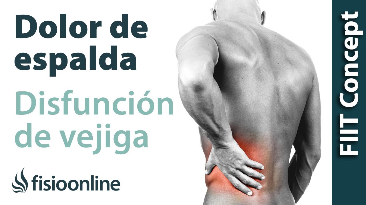 Disfunciones de vejiga y dolor de espalda, lumbar y piernas - Causas y tratamiento