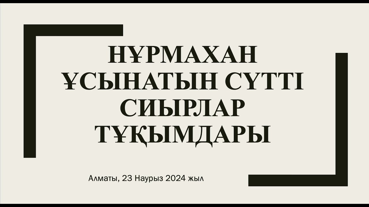 Нұрмахан ұсынатын Сүтті Сиырлар тұқымдары