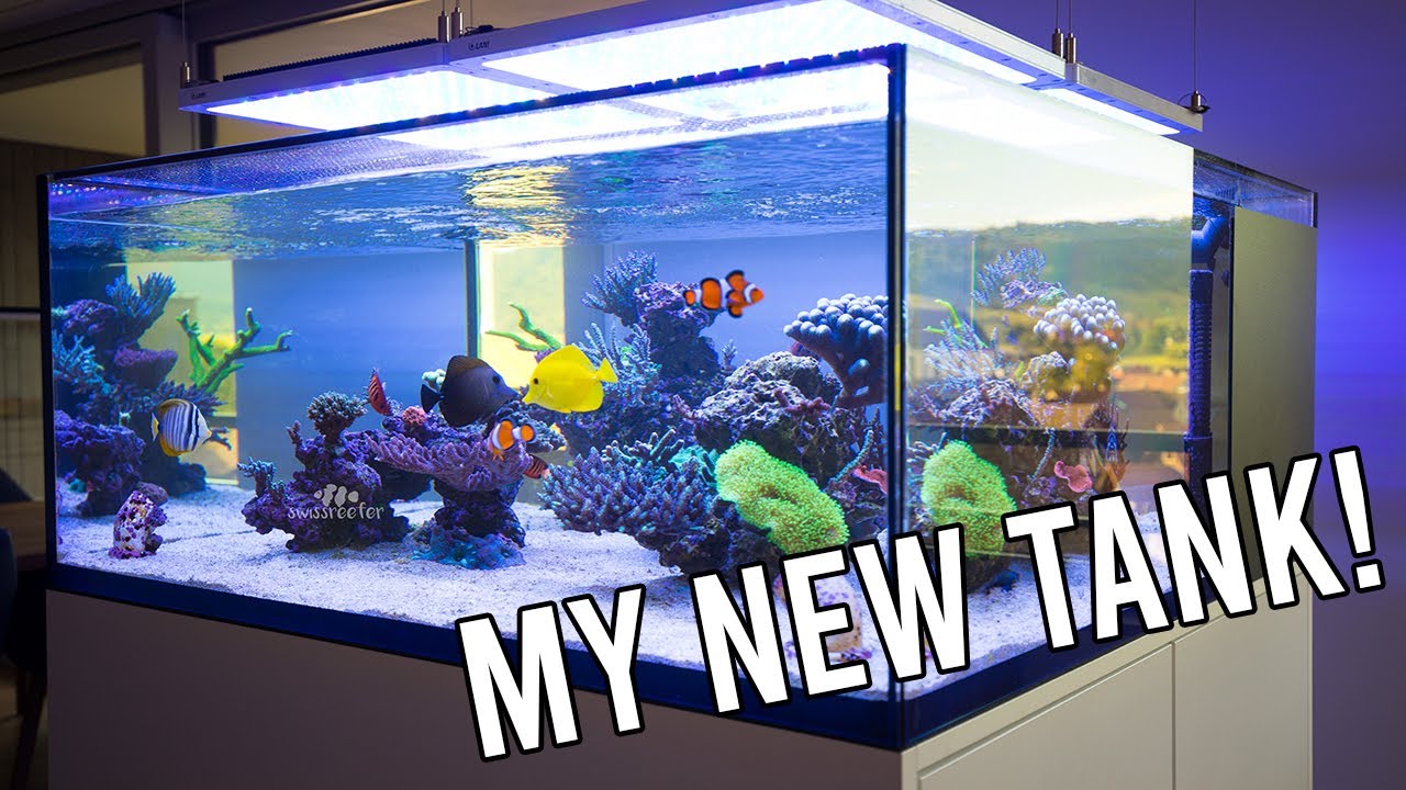 Free standing 500L cube style tank