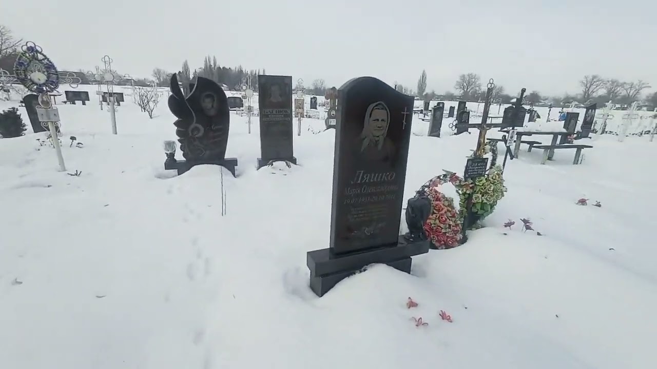 Зимовий сільський цвинтар без слів 