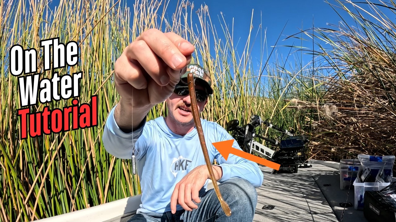 Catch more fish GUARANTEED with these drop shot tips!