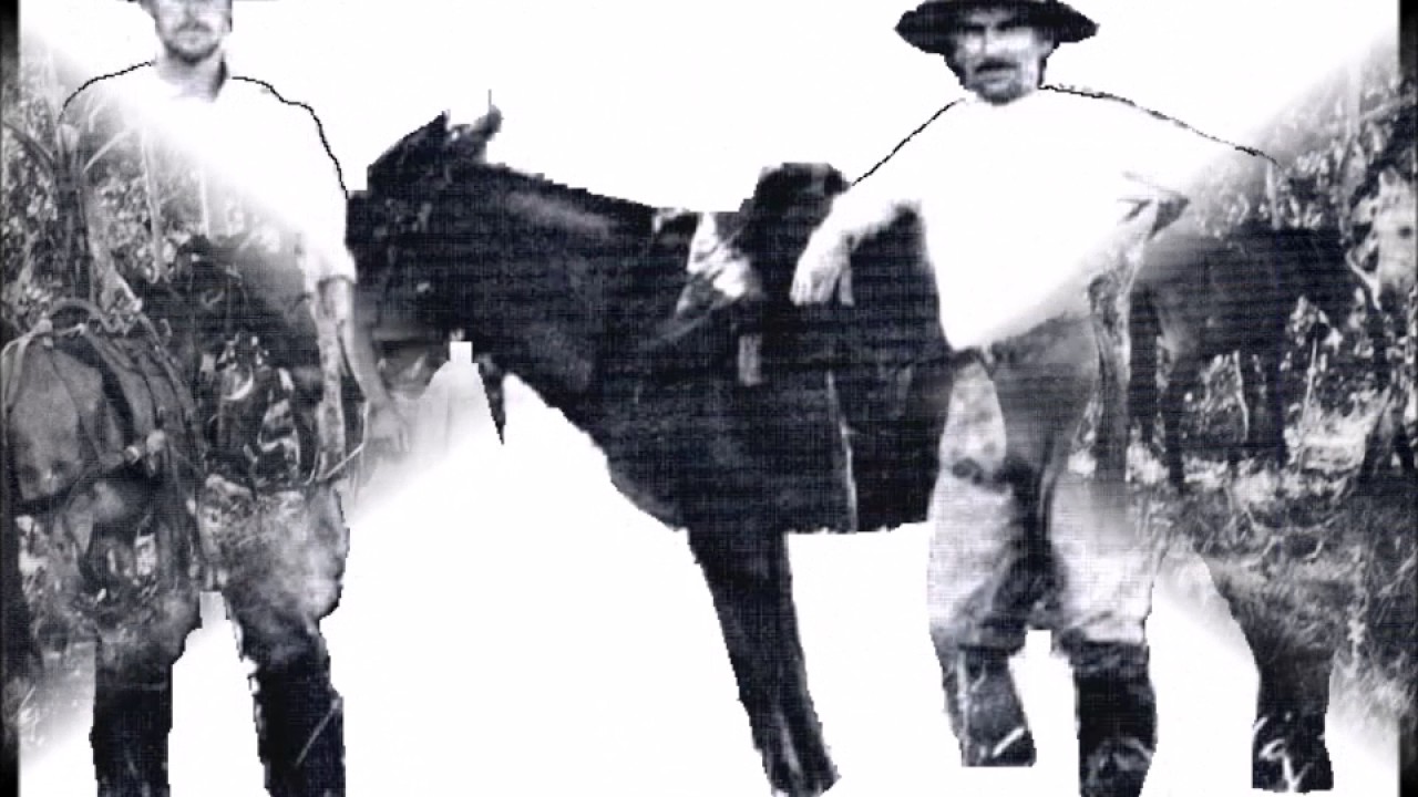 Coronel Fawcett e o acampamento do cavalo morto