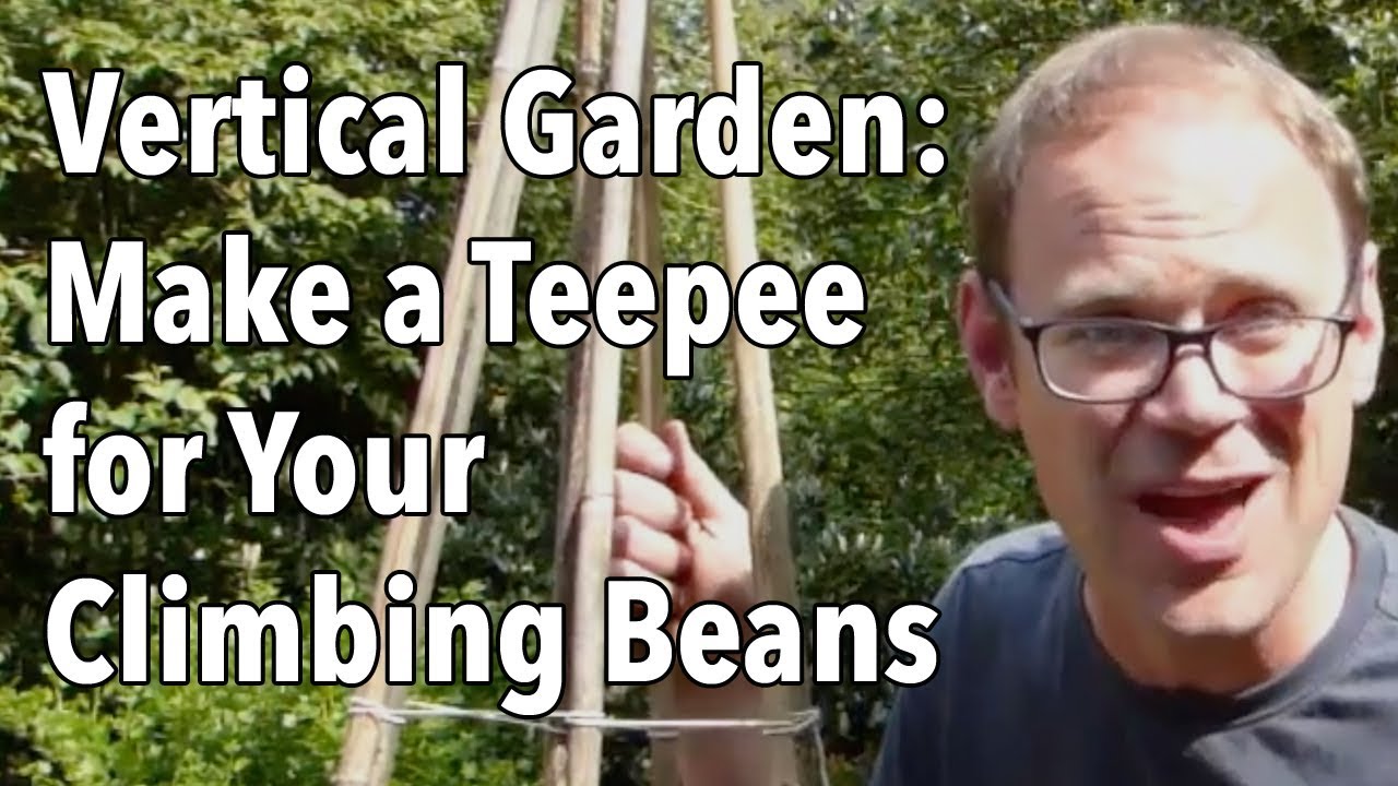 Vertical Garden: Make a Teepee for Your Climbing Beans