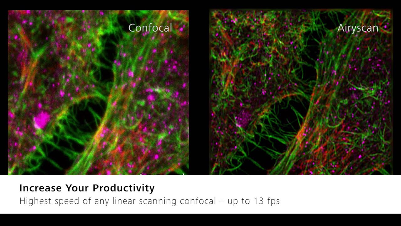 ZEISS LSM 880 with Airyscan: Revolutionize Your Confocal Imaging