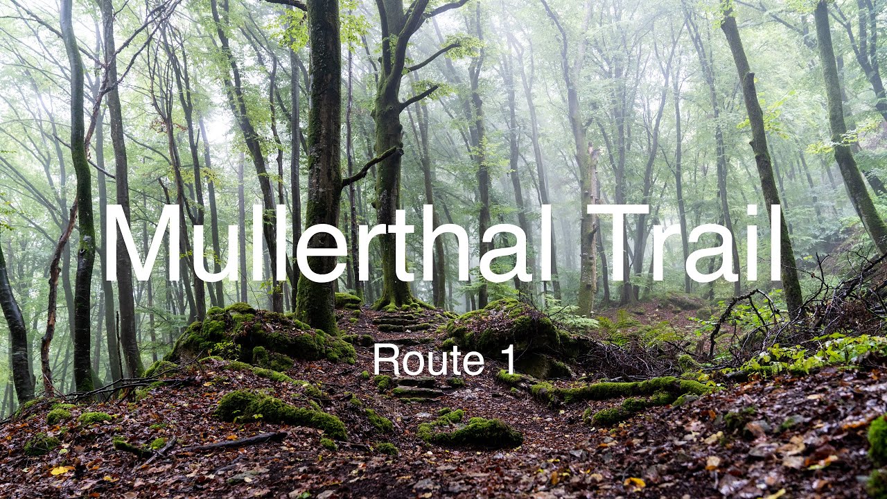 Mullerthal Trail in Luxembourg - Hiking Route 1