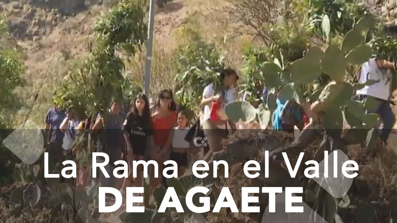 El Valle de Agaete se viste de fiesta con la tradicional Bajada de la Rama