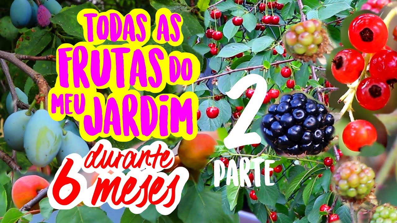 Segunda parte das frutas do meu jardim na Polônia durante 6 meses