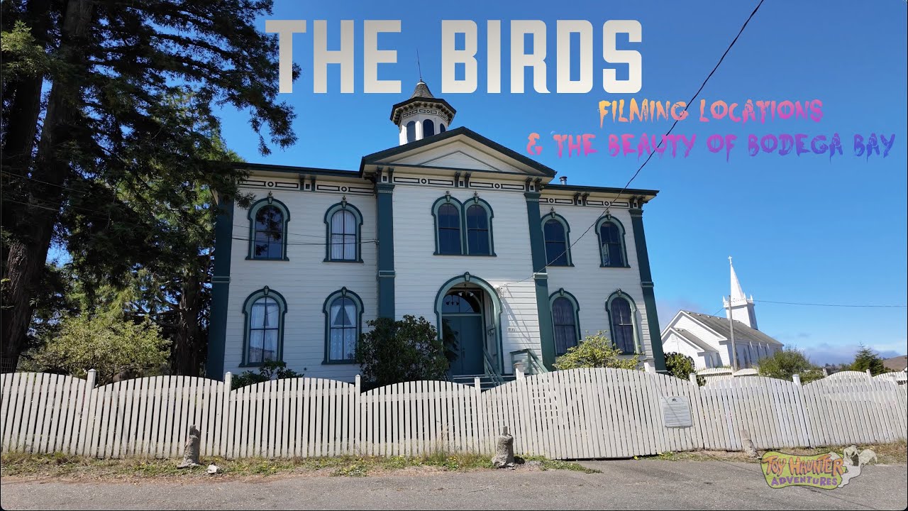 Hitchcock's The Birds Filming Locations & The Beauty of Bodega Bay