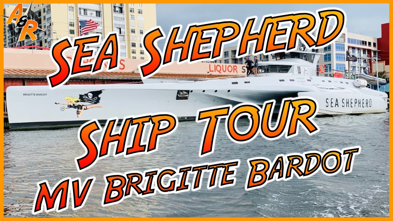 Sea Shepherd Ship Tour of the Brigitte Bardot