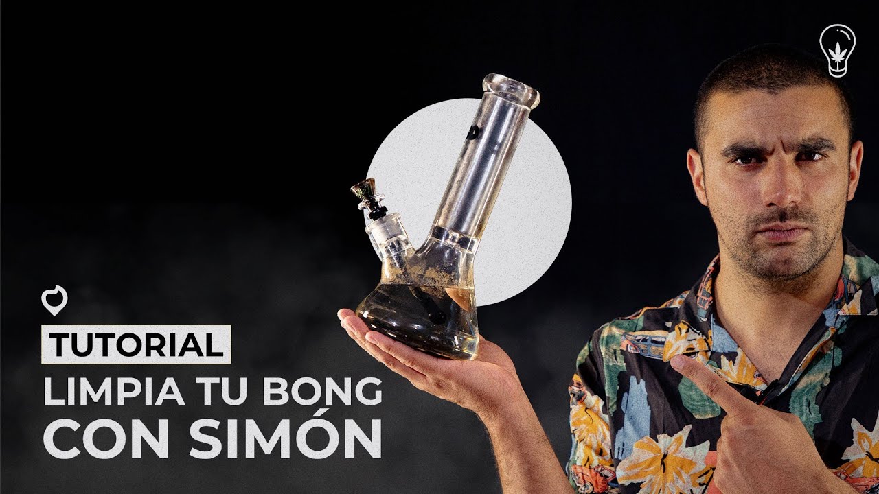 C&Oacute;MO LIMPIAR TU BONG O C&Oacute;MO LIMPIAR TU PIPA