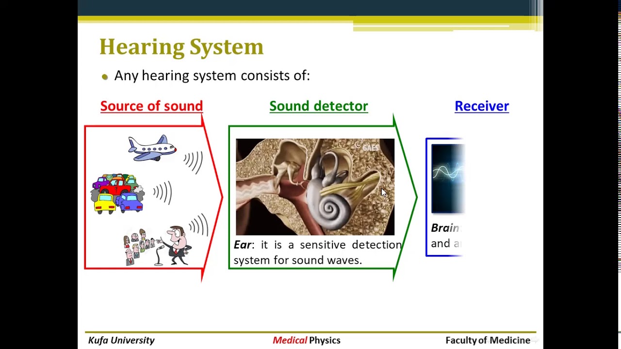 Physics of Ear and Hearing