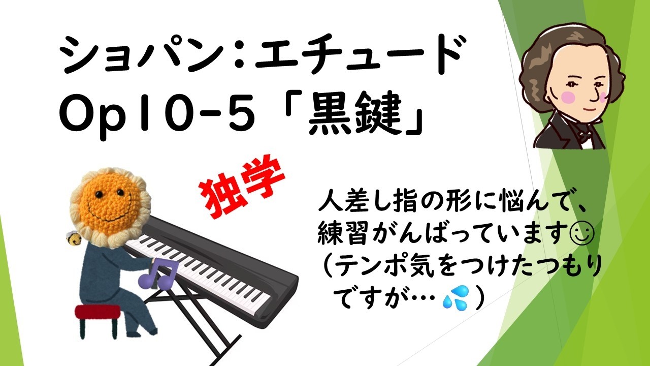【練習経過動画】ショパン黒鍵のエチュード🎹人差し指の形に悩んで練習がんばりました💦　熊蜂の飛行もよければ見て下さいね☺