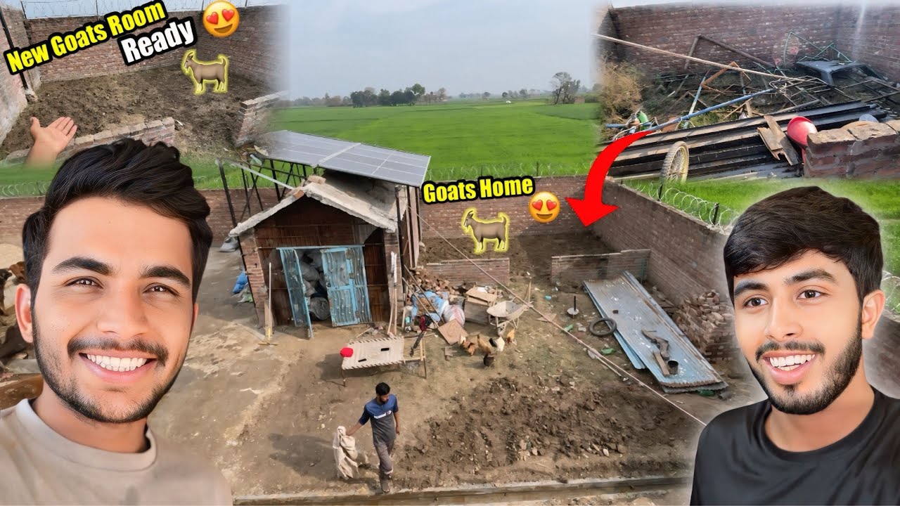 New Goat’s 🐐Room Ready / For New Goat Framing 😍 | Zohaib Pendu | Saqlain Pendu 
