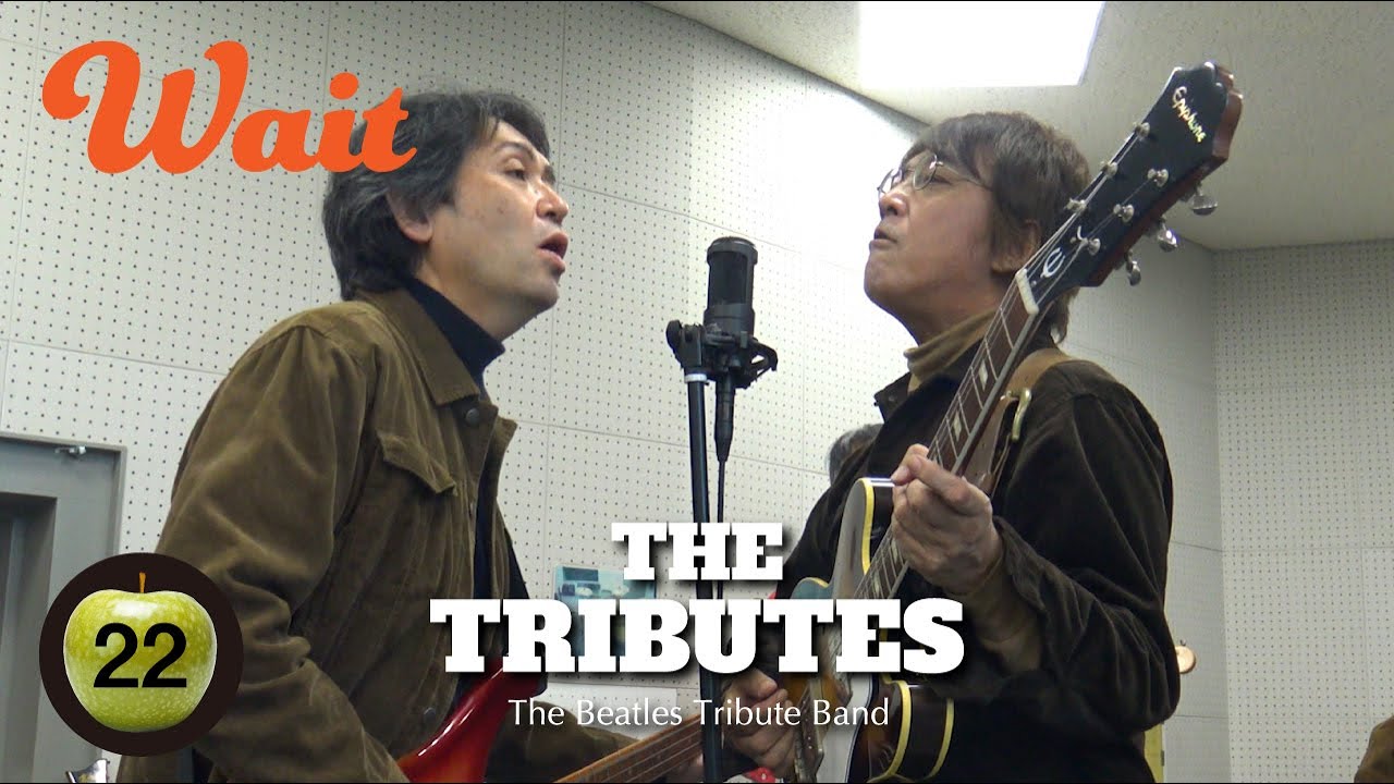 Wait「ウェイト」/ The Tributes 「トリビューツ」Beatles cover