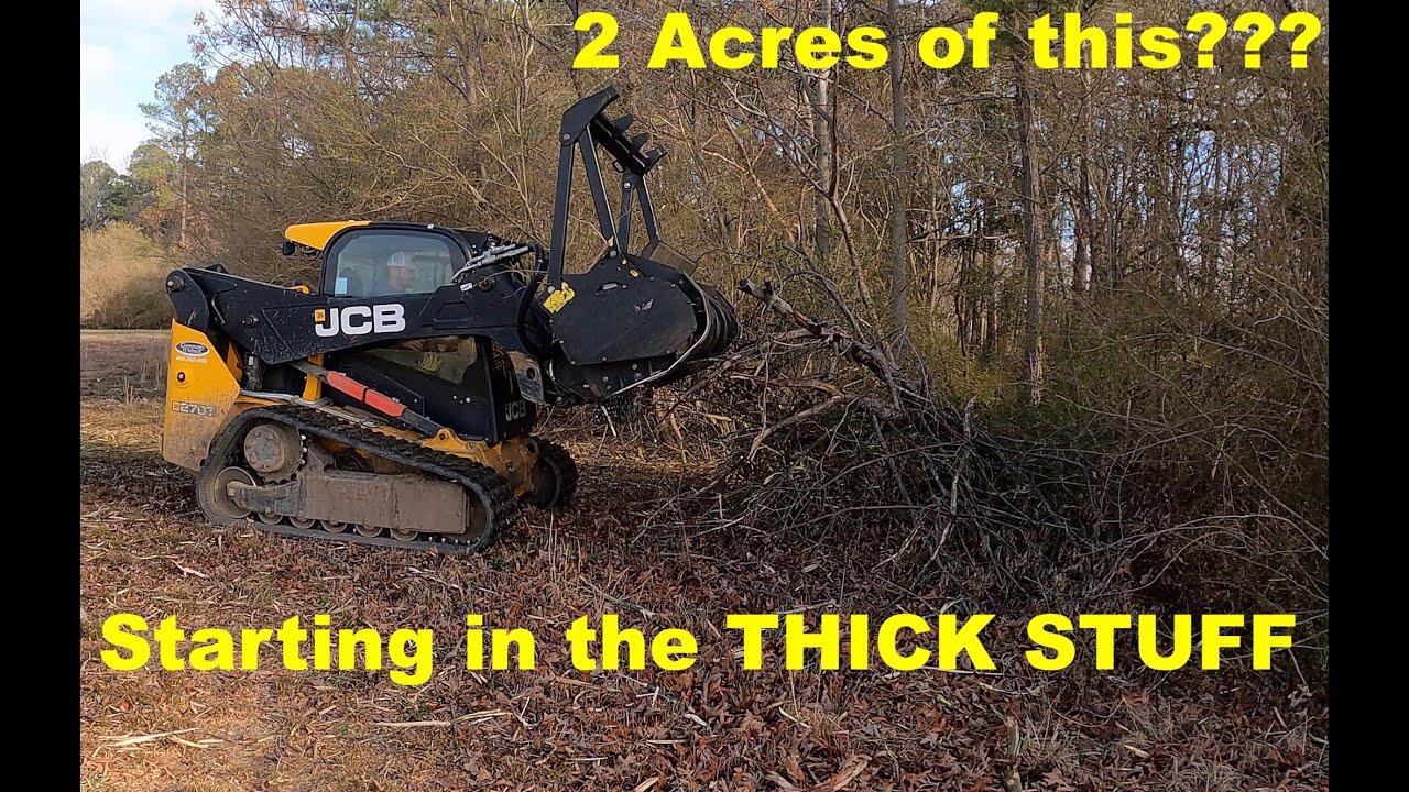 Mulching 2 Acres of The THICKEST Privet on this Farm Job Part 1