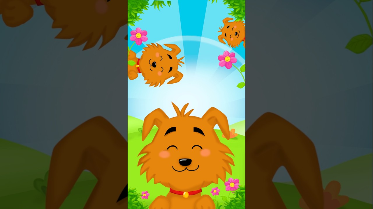 Comptine du chien | Chante et Danse avec les Titounis | Musiques et Chansons pour Enfants