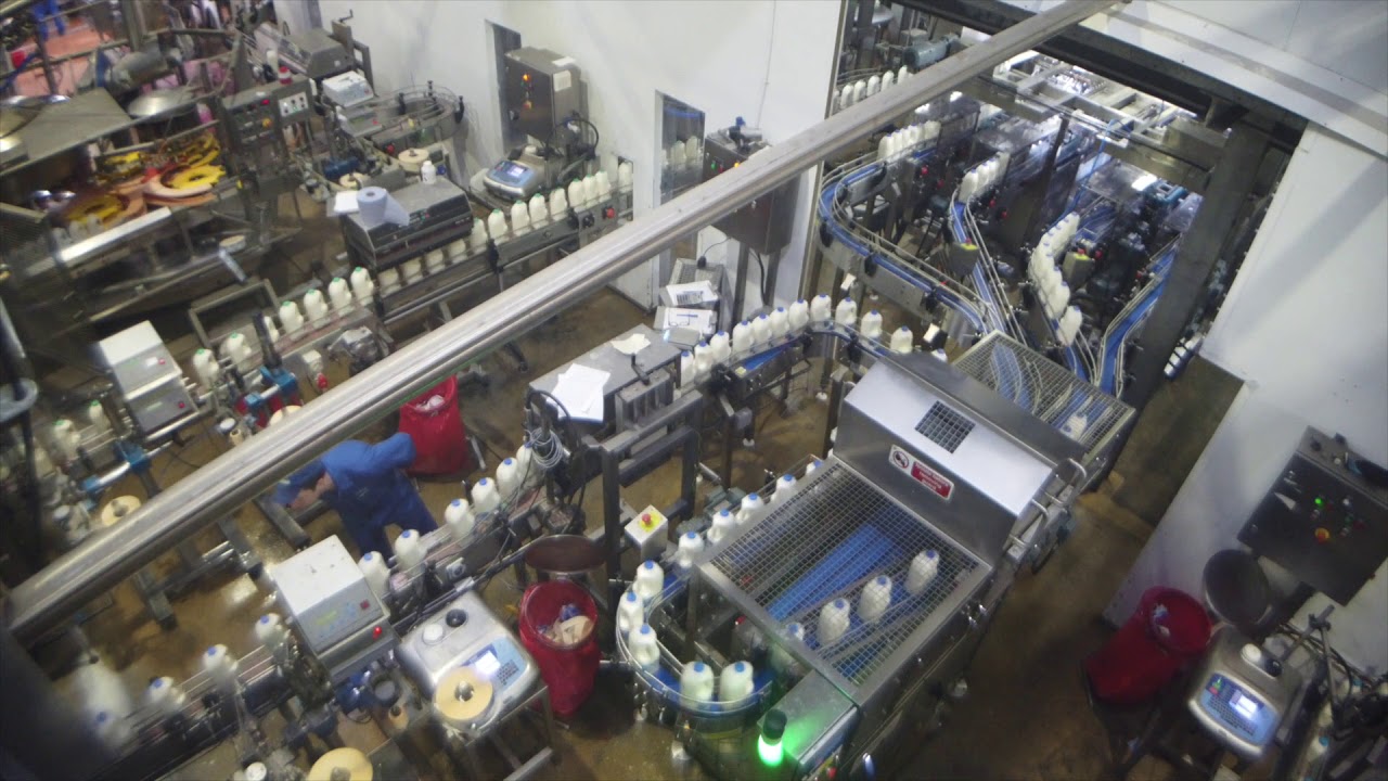 Dairy Poly Bottle Lane Divider and Packing Solution