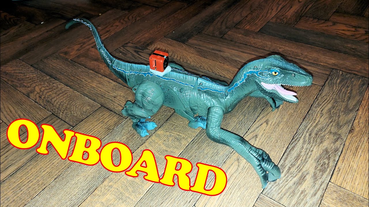 Onboard the Raptor with my SQ11 Camera - NOISY