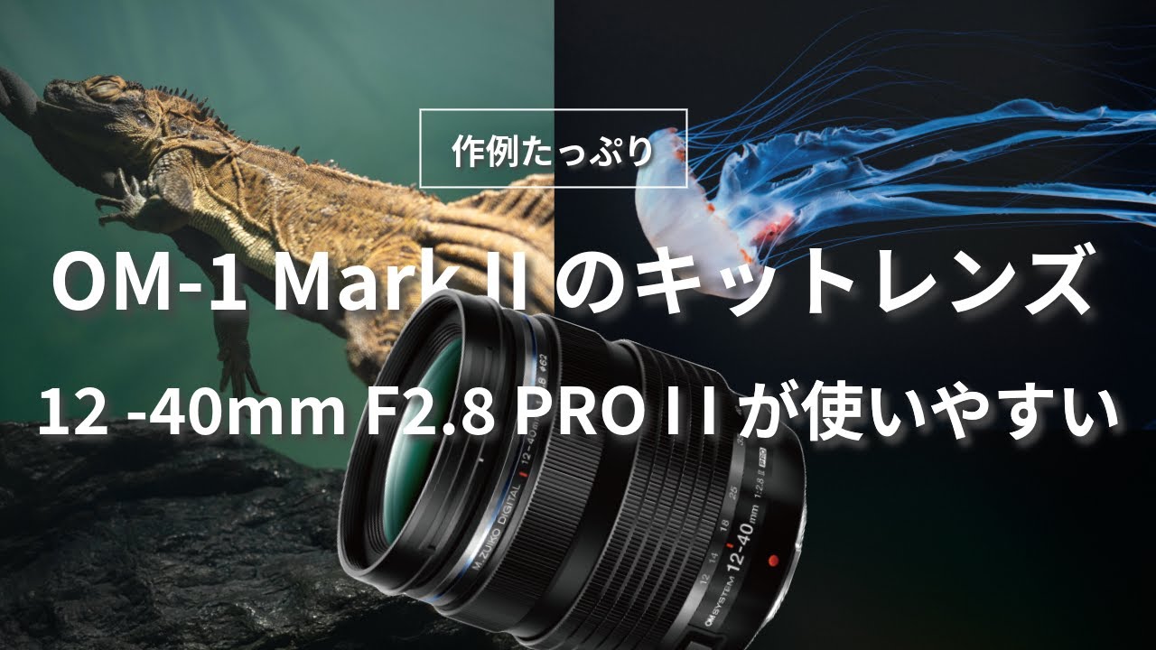 【レビュー】OM-1 Mark IIキットレンズ12-40mm F2.8 Pro Ⅱで撮影してきました！
