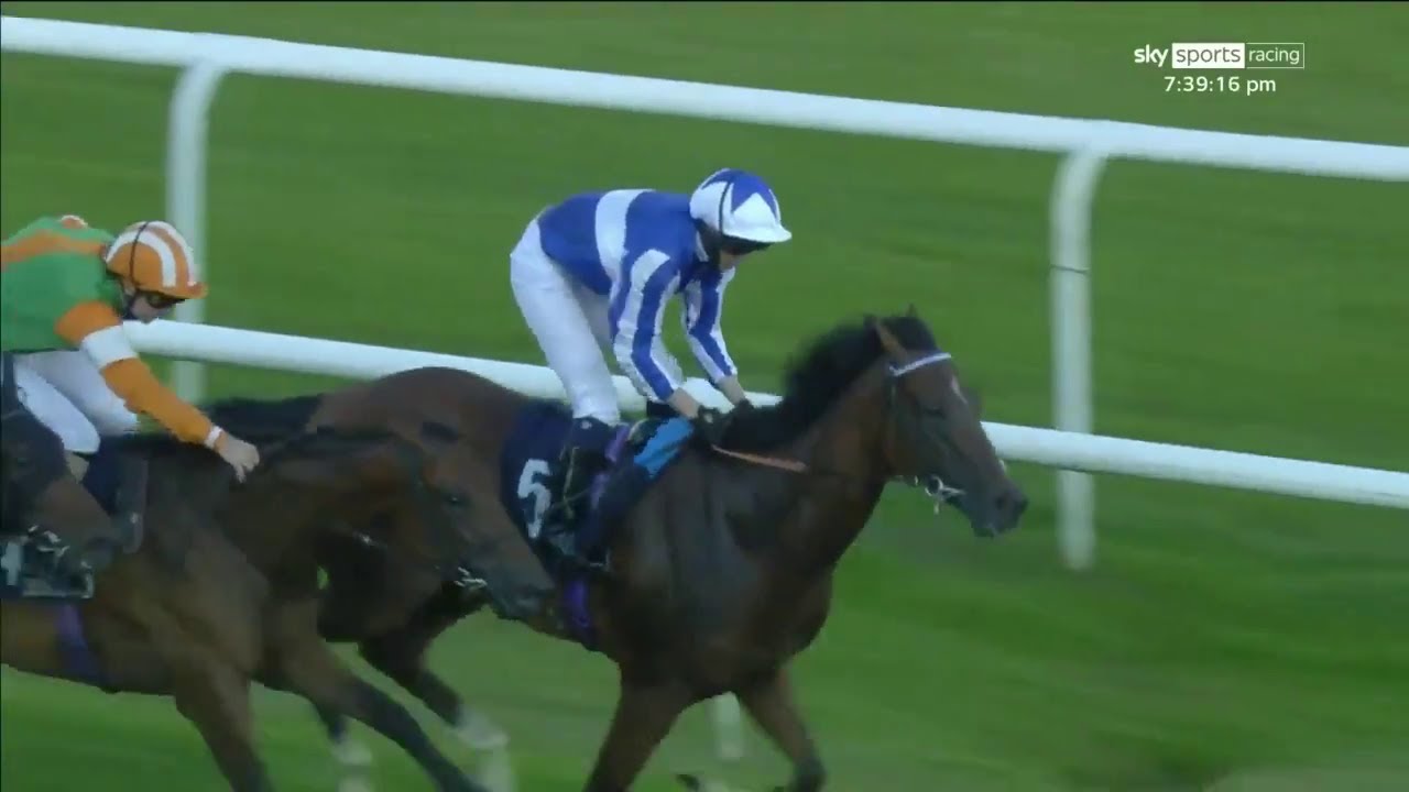 Jockey Mark Crehan banned for 28 days after mistaking the winning post at Doncaster