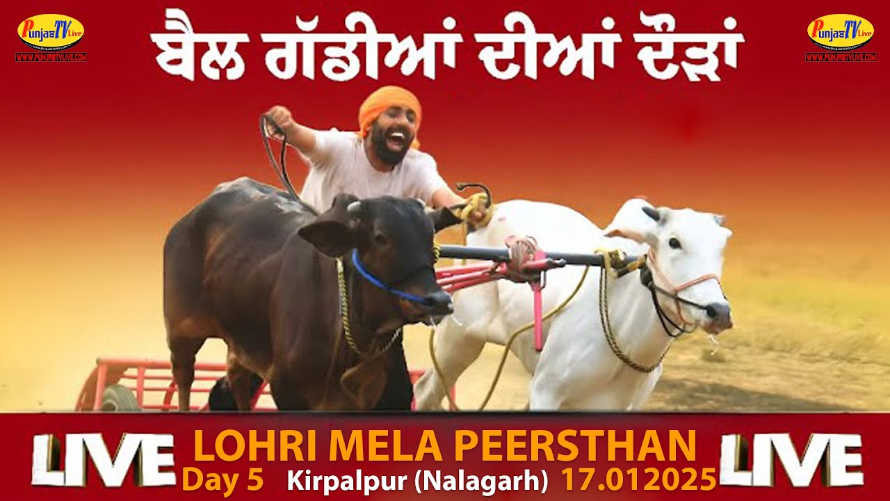 🔴[LIVE] ਬੈਲ ਗੱਡੀਆਂ ਦੀਆਂ ਦੌੜਾਂ || LOHRI MELA PEERSTHAN KIRPALPUR, NALAGARH || 17.01.2026