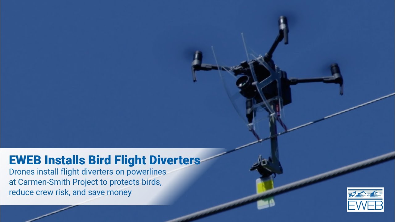Bird Flight Diverters at Carmen-Smith Transmission Lines