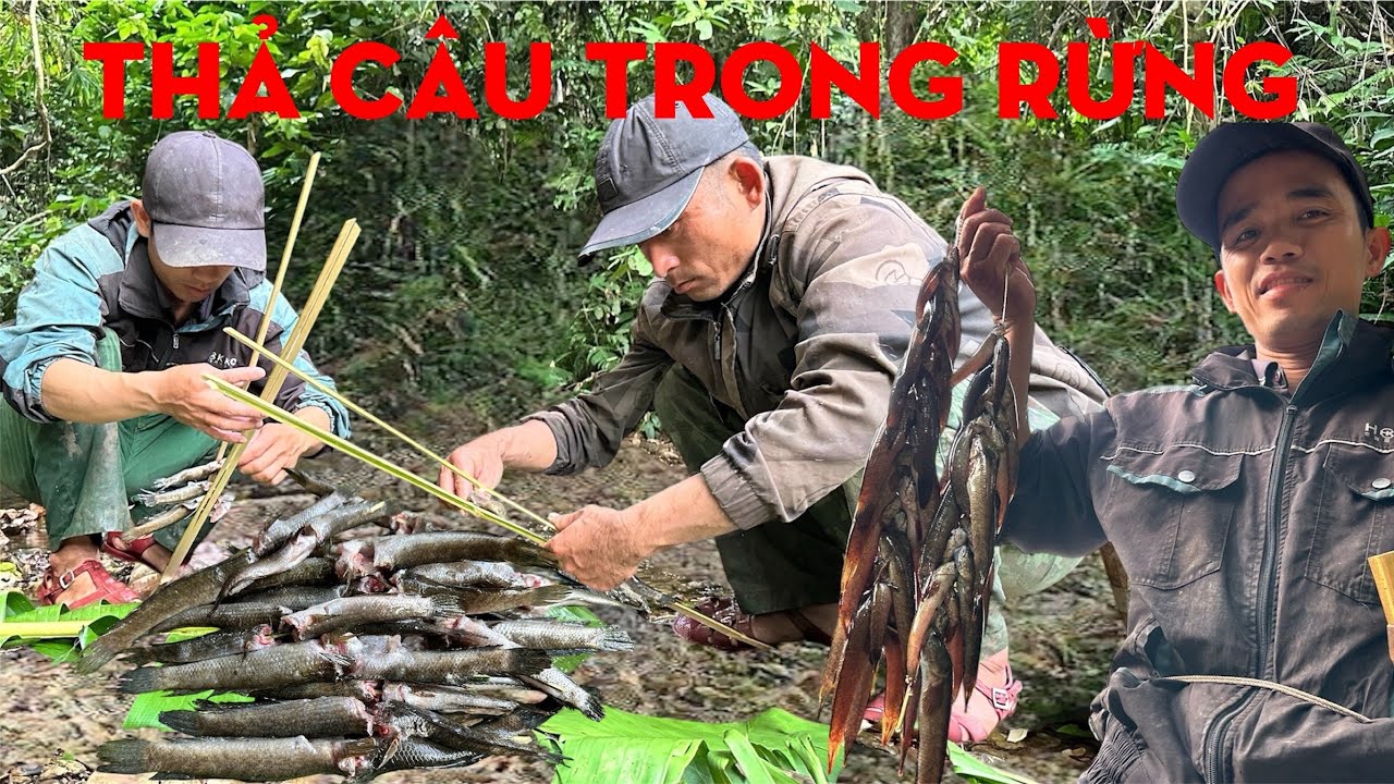 THẢ CÂU VŨNG HOANG TRONG RỪNG -TỰ THỢ RỪNG 