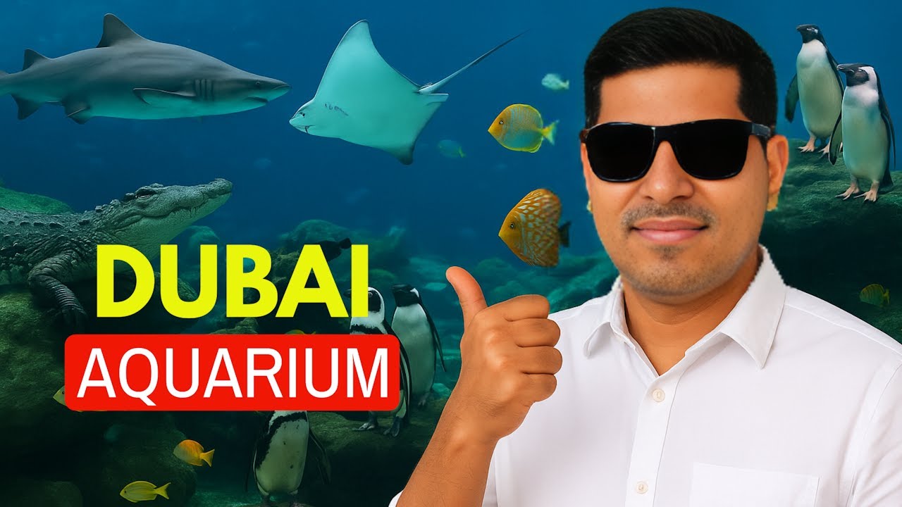 How To Visit Dubai Aquarium | Largest Aquarium in Dubai | Dubai Mall Aquarium