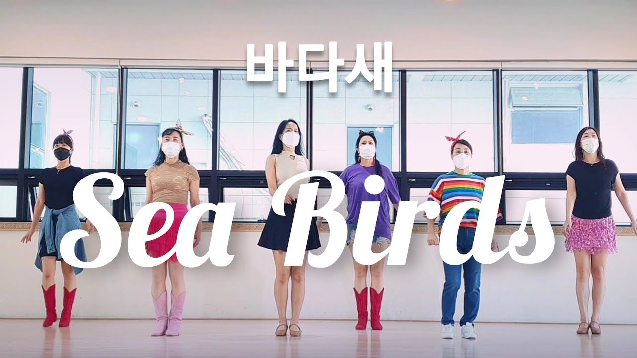 Sea BirdLine Dance Demo(바다새/이숙희)|실수로삭제되어재업로드