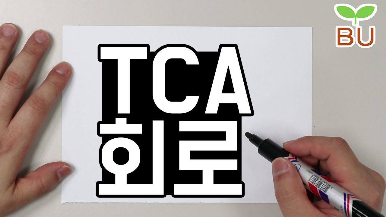 [설명편] TCA 회로