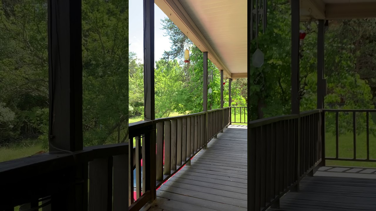 Coding at the cabin