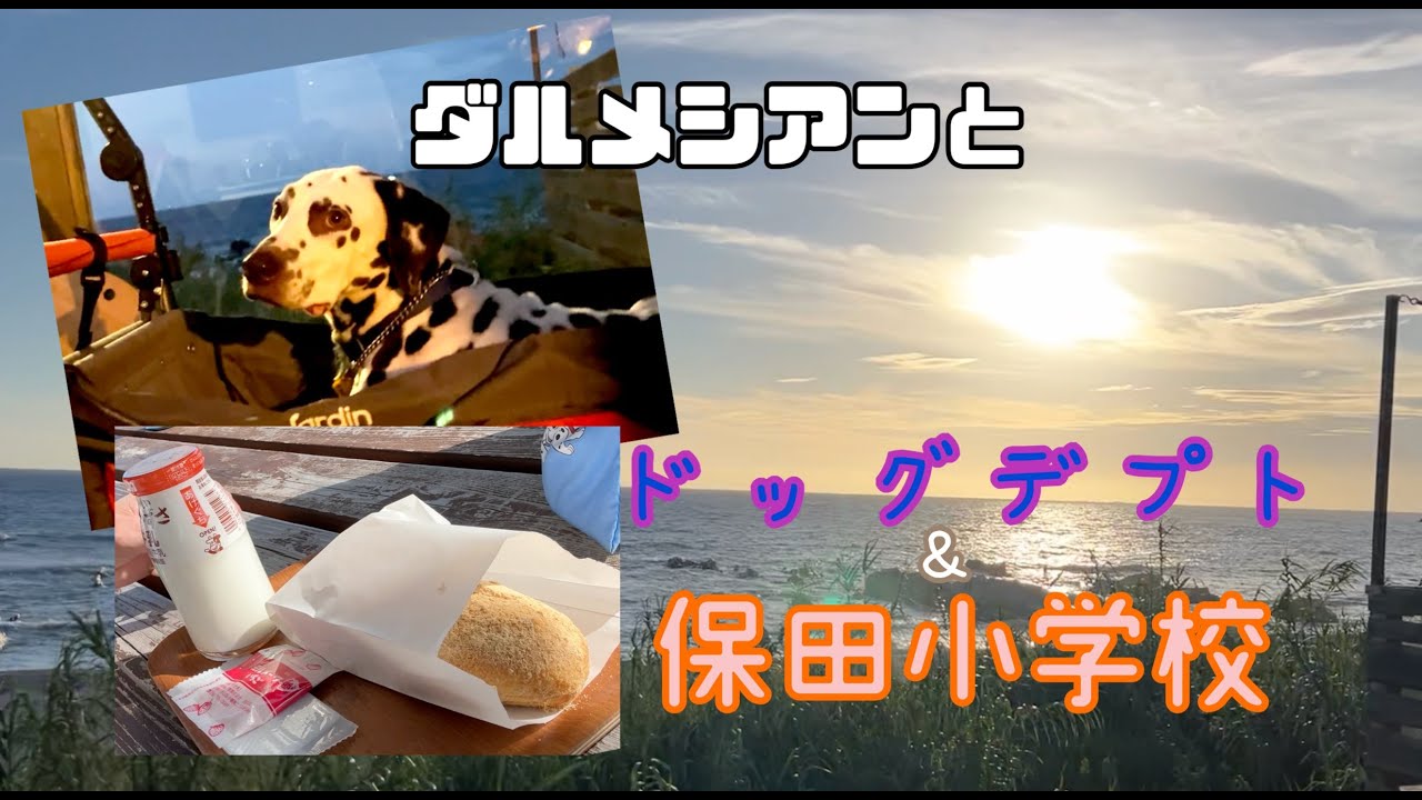 ドッグデプト続き&特大おまけ【ドッグデプト二本立て】