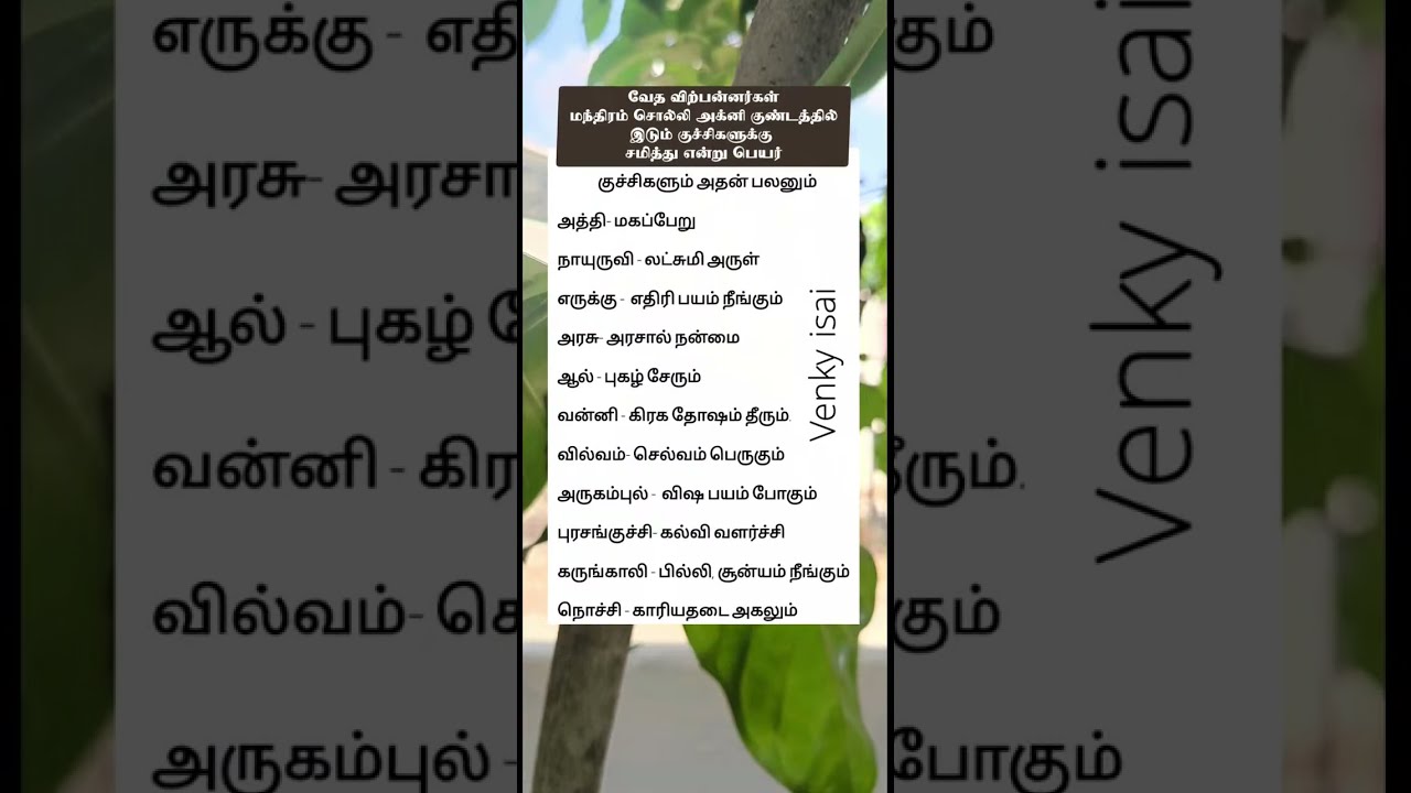 venky isai is live!