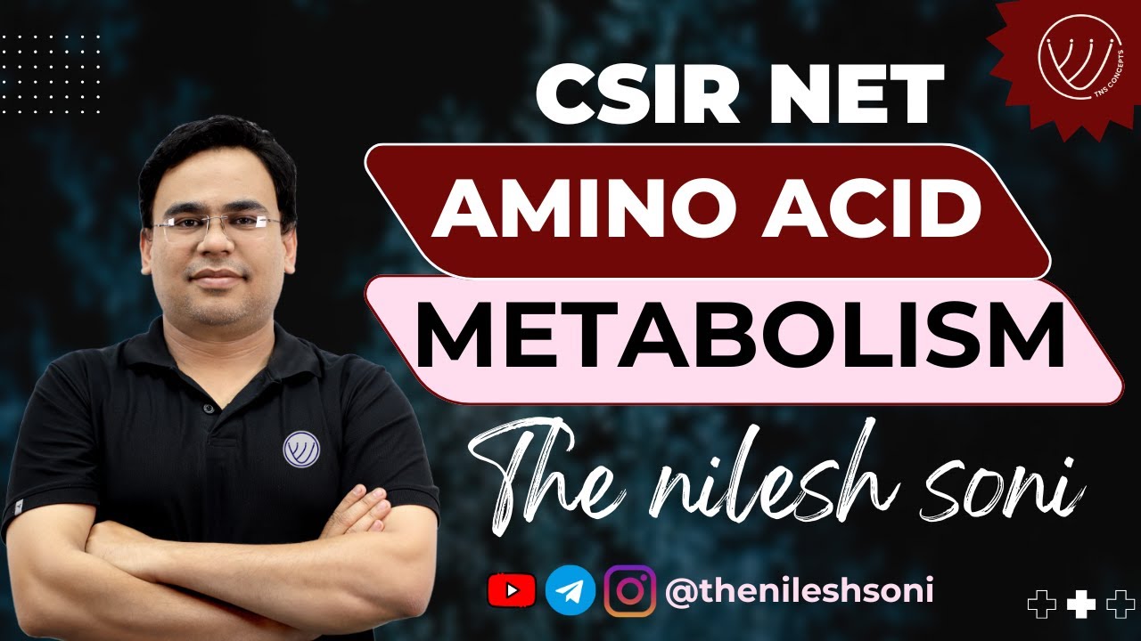 Amino Acid Metabolism | Amino Acid Synthesis and Breakdown | CSIR NET Life Science | TNS CONCEPTS