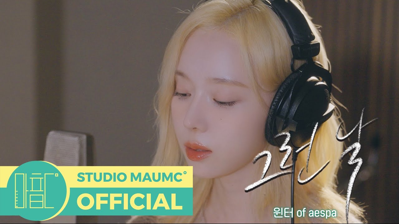 [언젠가는 슬기로울 전공의생활 OST Part 3] 윈터 (WINTER) - 그런 날 M/V